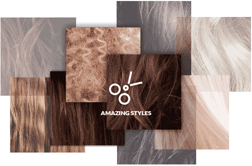 A collection of different types of hair textures.