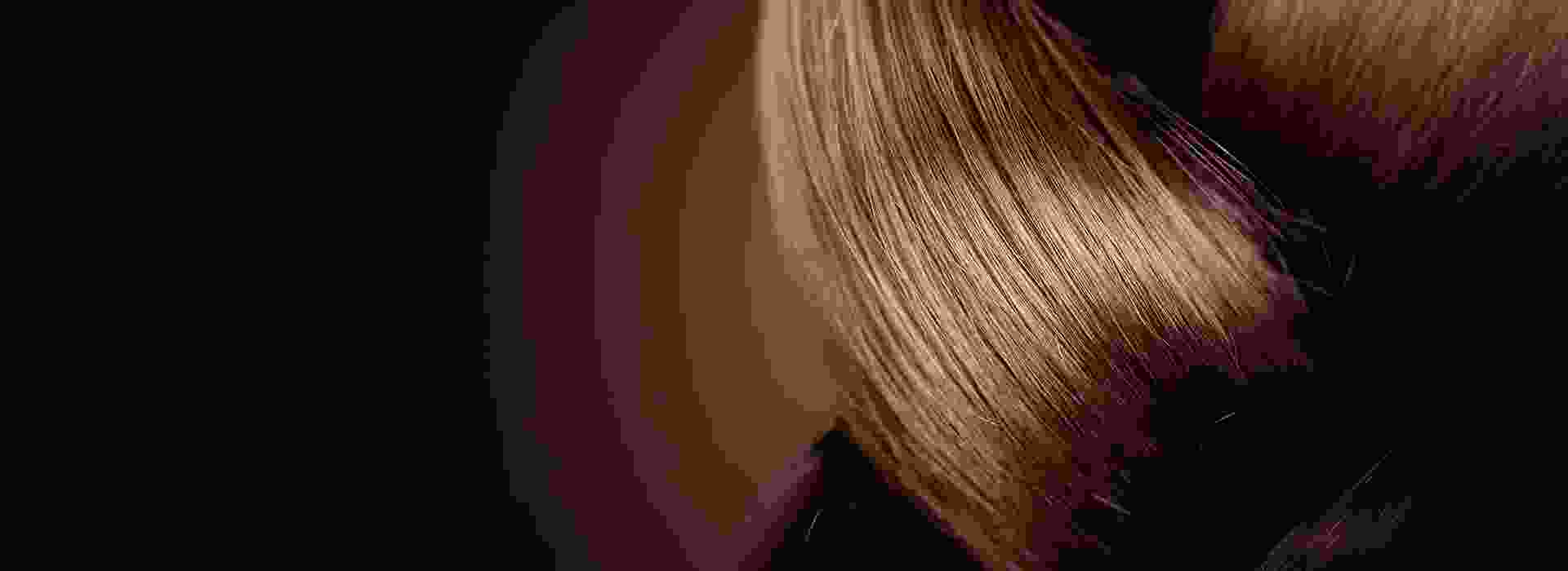 A close up of the hair color on a woman 's head